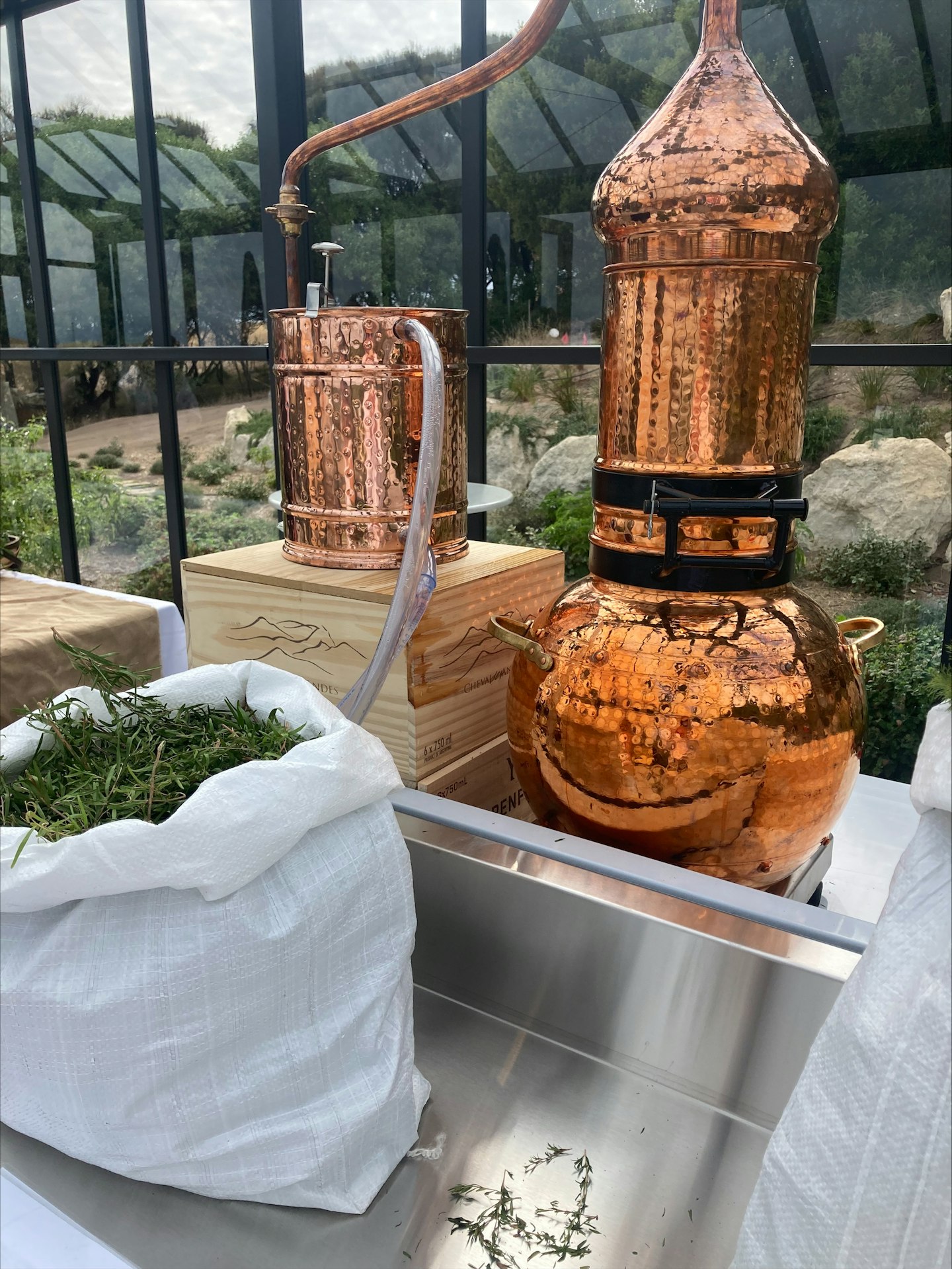essential oil master class