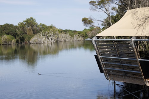glamping at metung hot springs