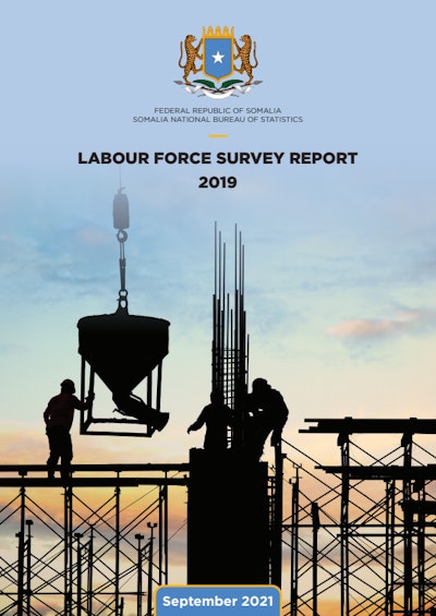 The Labour Force Survey Report 2019