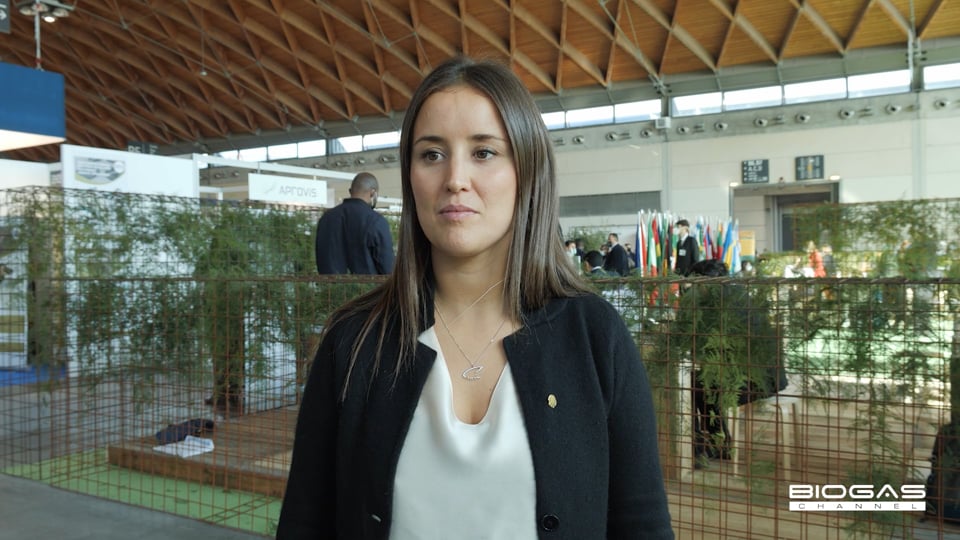 Shells kohlenstoffneutrale Schmierstoffe sollen 700.000 Tonnen CO2e-Emissionen pro Jahr ausgleichen.