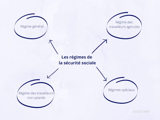 Des régimes différents existent pour votre retraite, qui se distinguent par les modalités et les montants de la pension accordée.