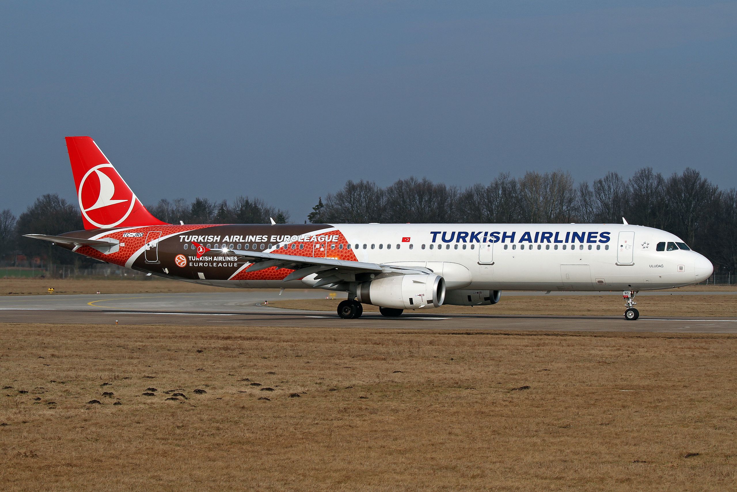 L'image représente un avion Turkish airlines.