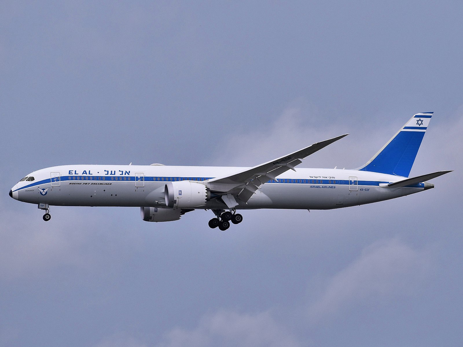 L'image illustre un vol annulé el al Israel airlines.
