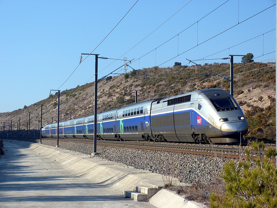 Cette image représente un train TGV qui est surbooké et dont les passagers doivent voyager debout.