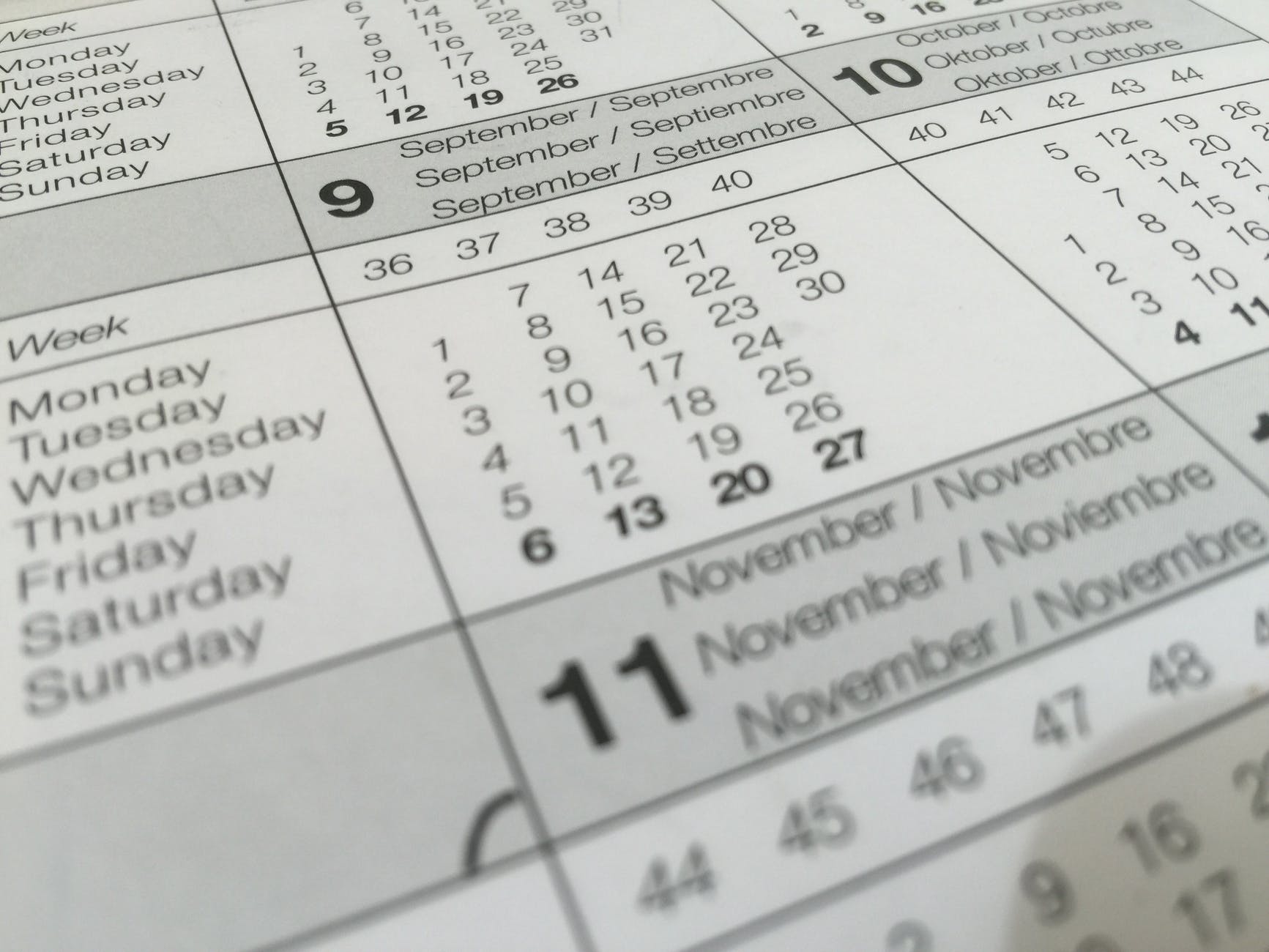 calendrier montrant le 11 novembre