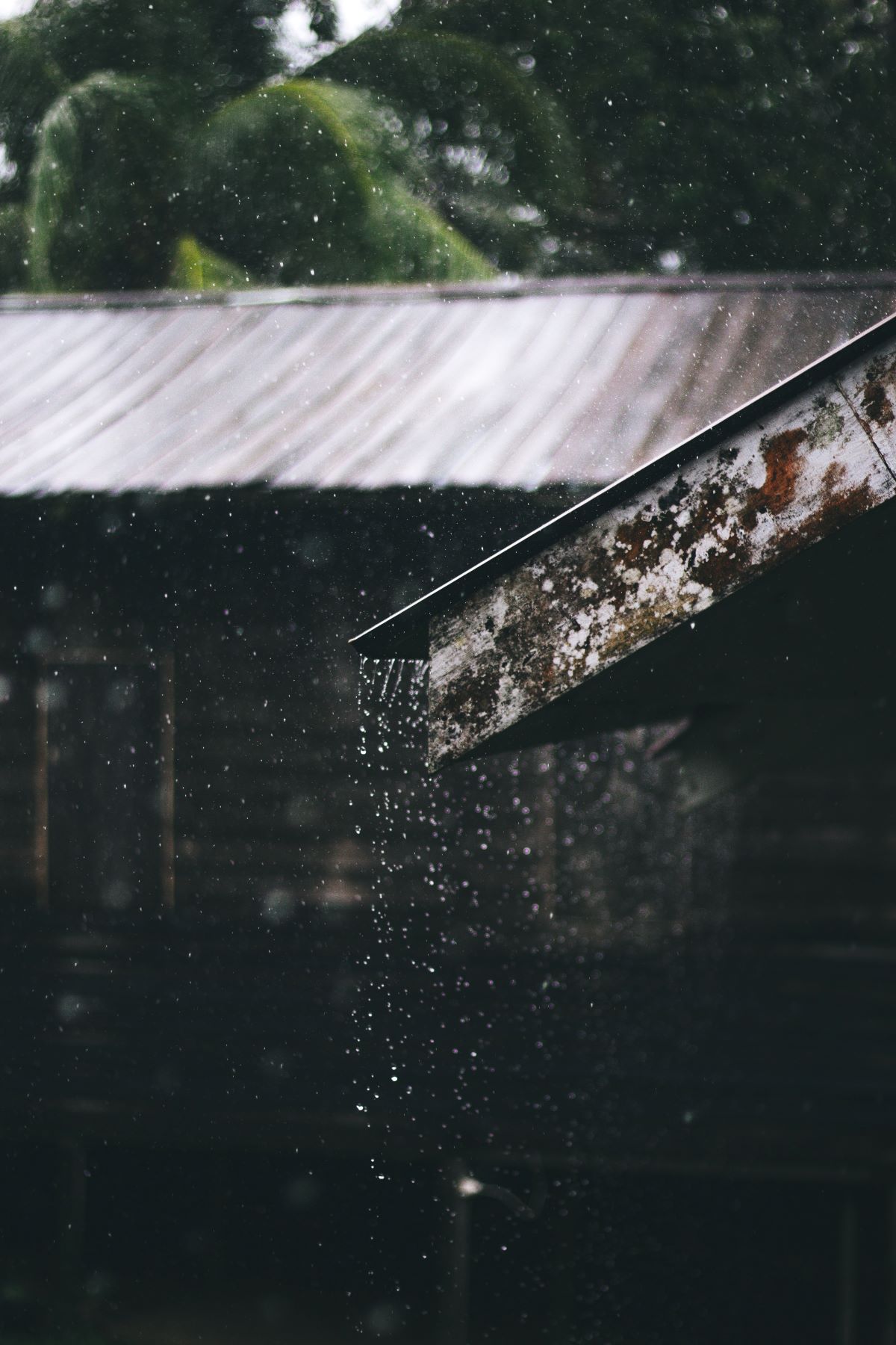 L'image représente un logement qui se fait abîmer par la pluie.