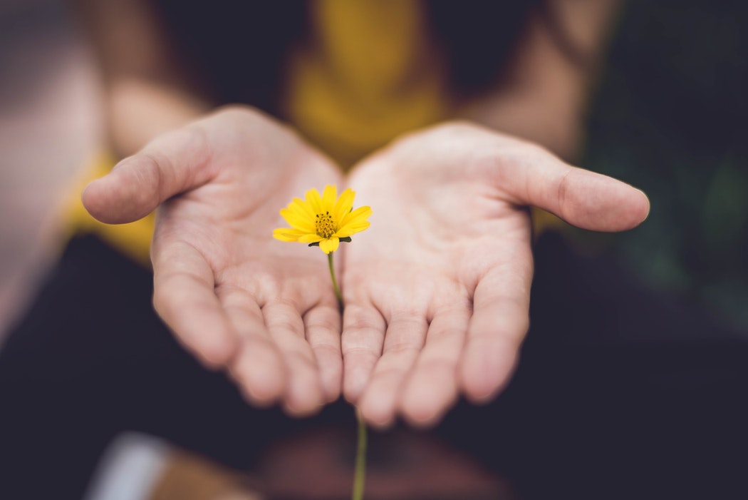 Donation partage : comment ça marche ?