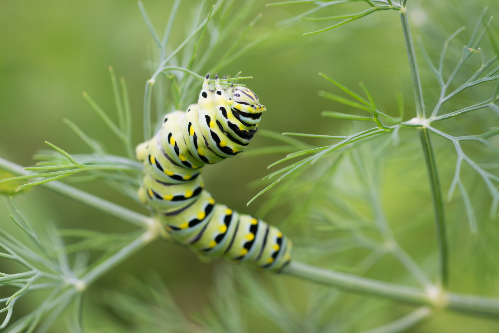 Innovatives Forschungsprojekt
