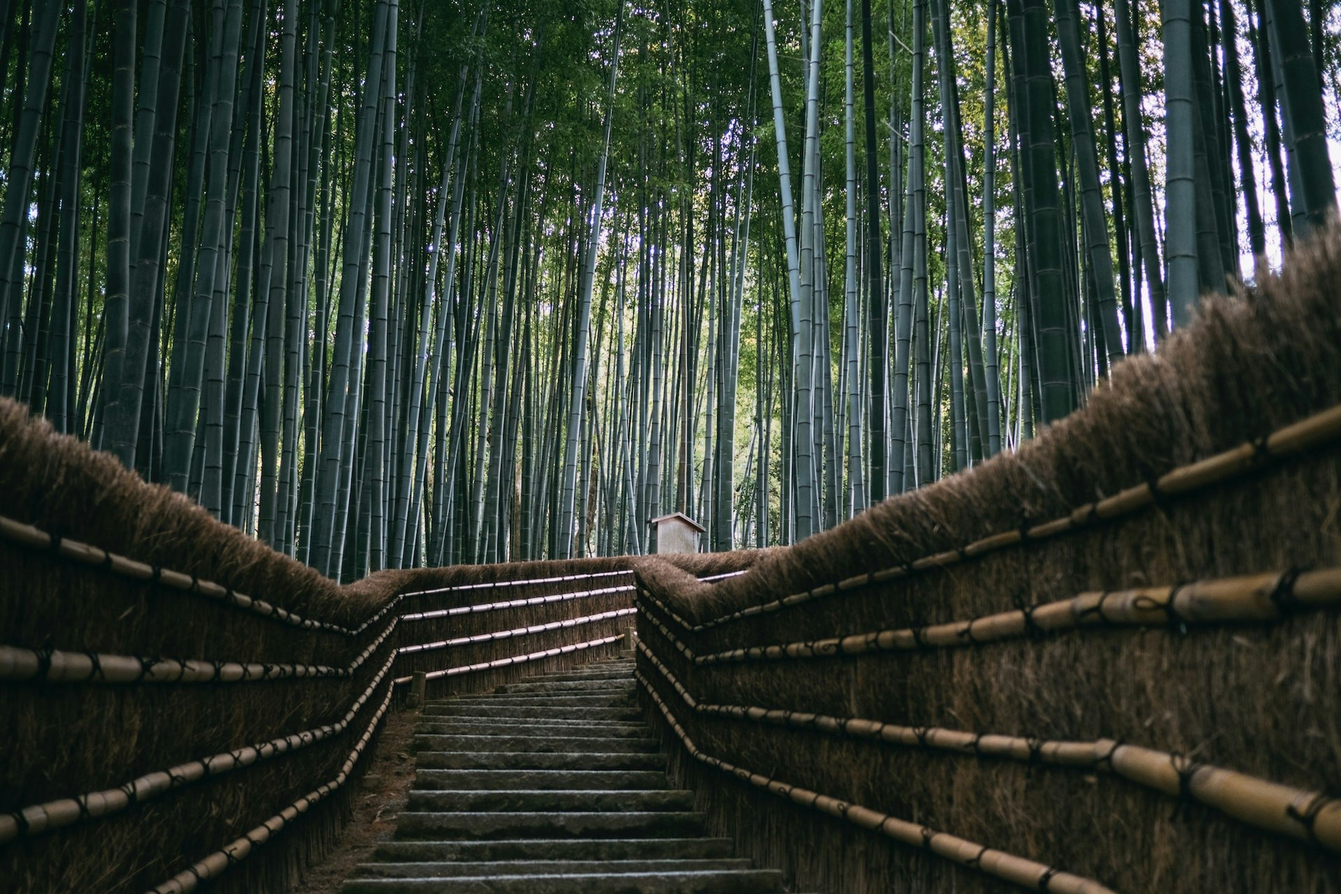 serenity