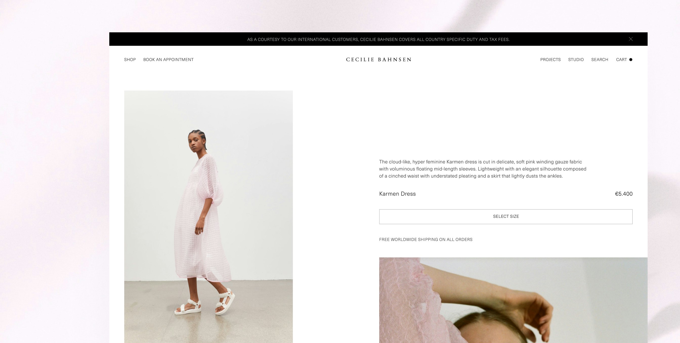 Cecilie Bahnsen case study