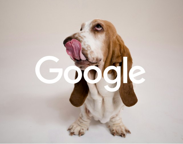 Signifly shoots new video for Google