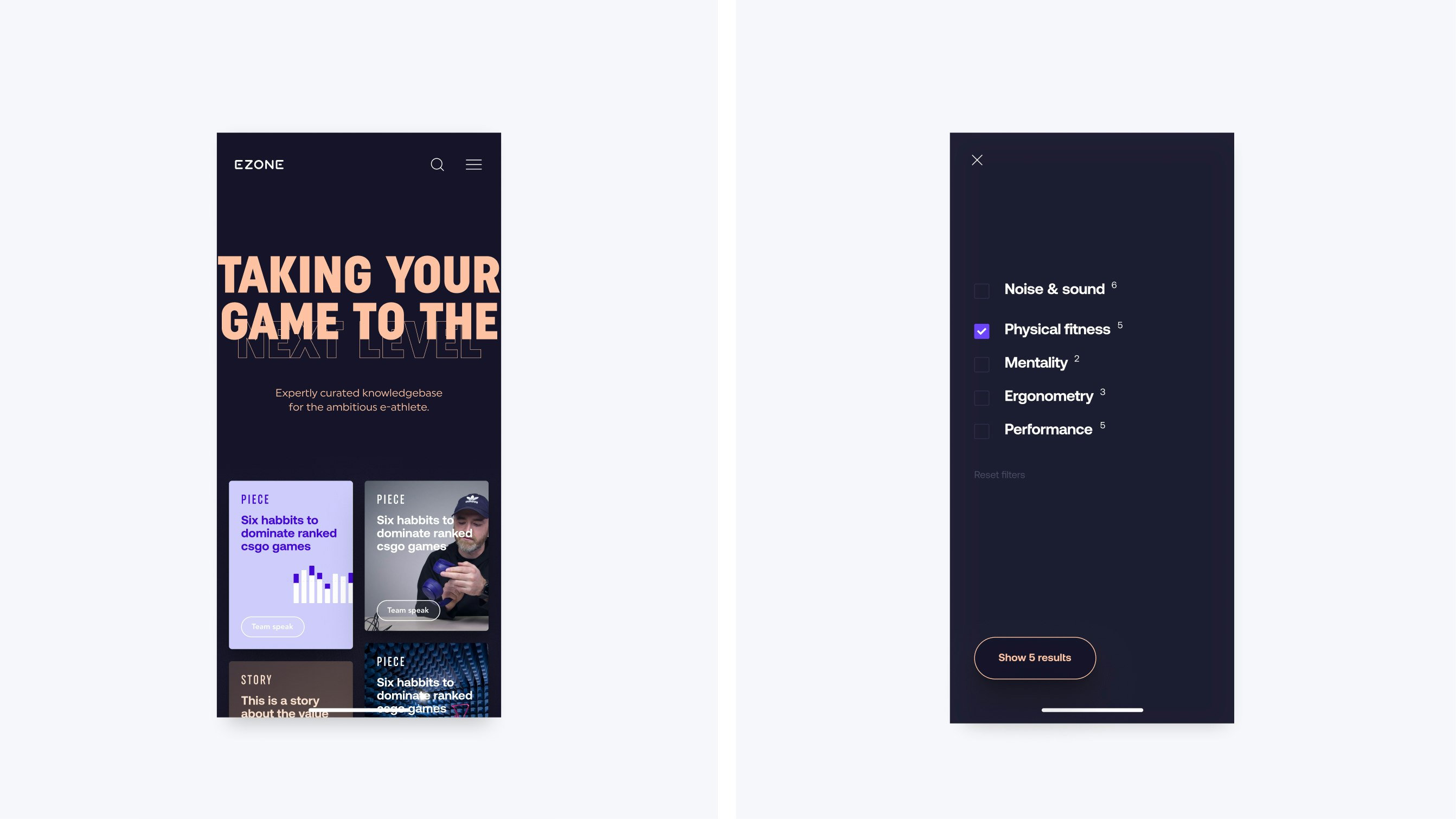 Acezone case study — Signifly