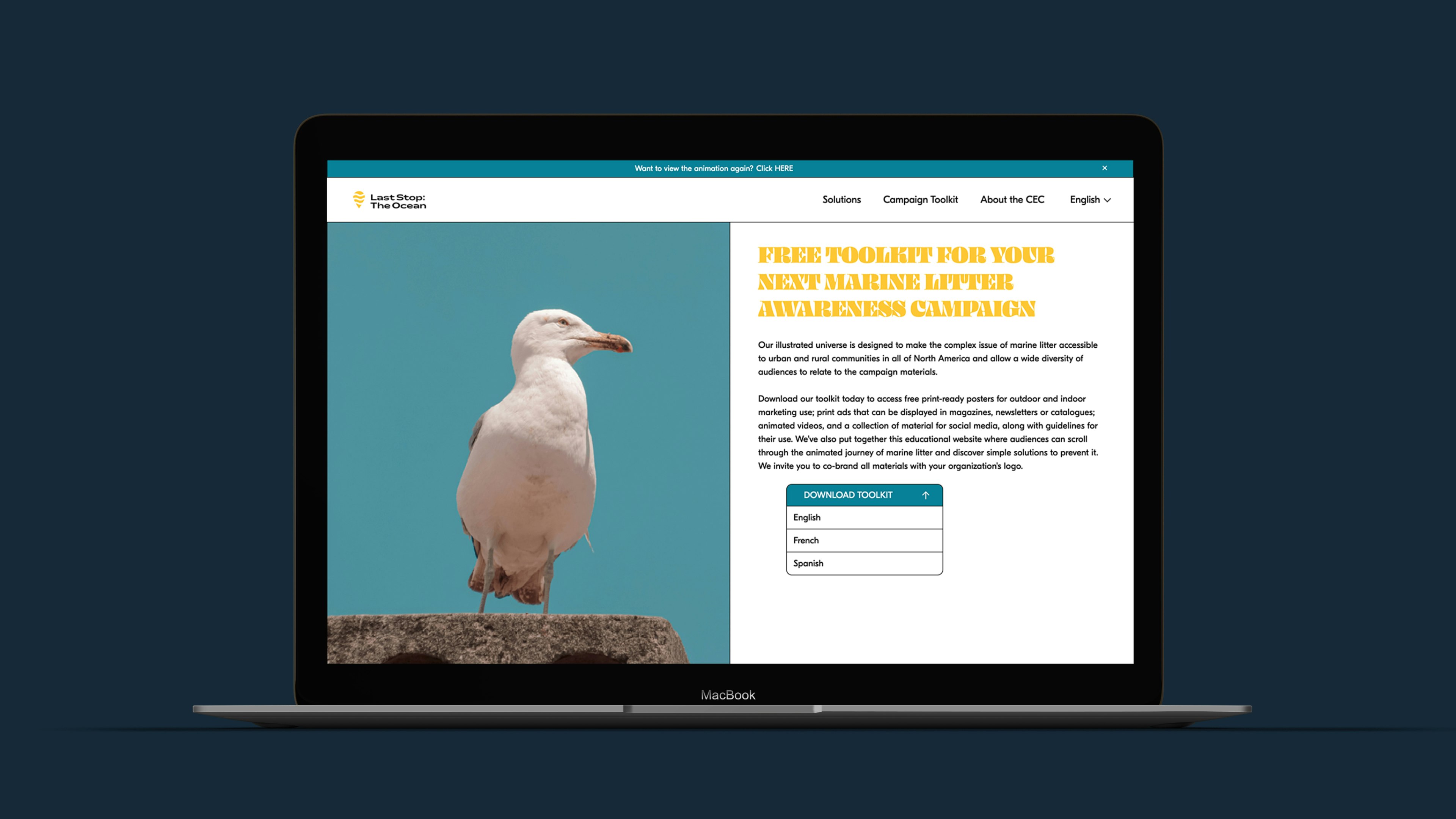Cec case study — Signifly