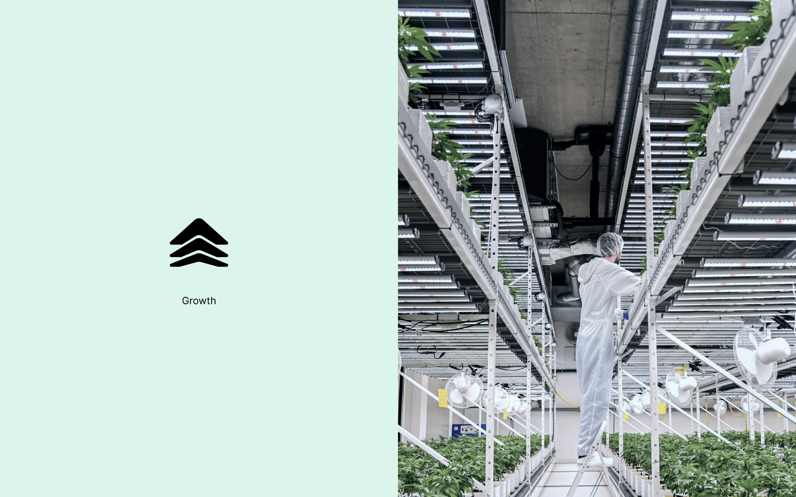 Ge Arize case study — Signifly