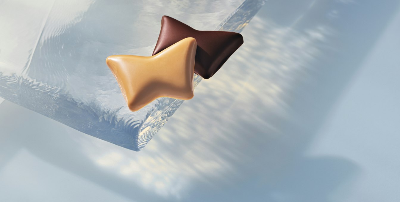 Summerbird case study