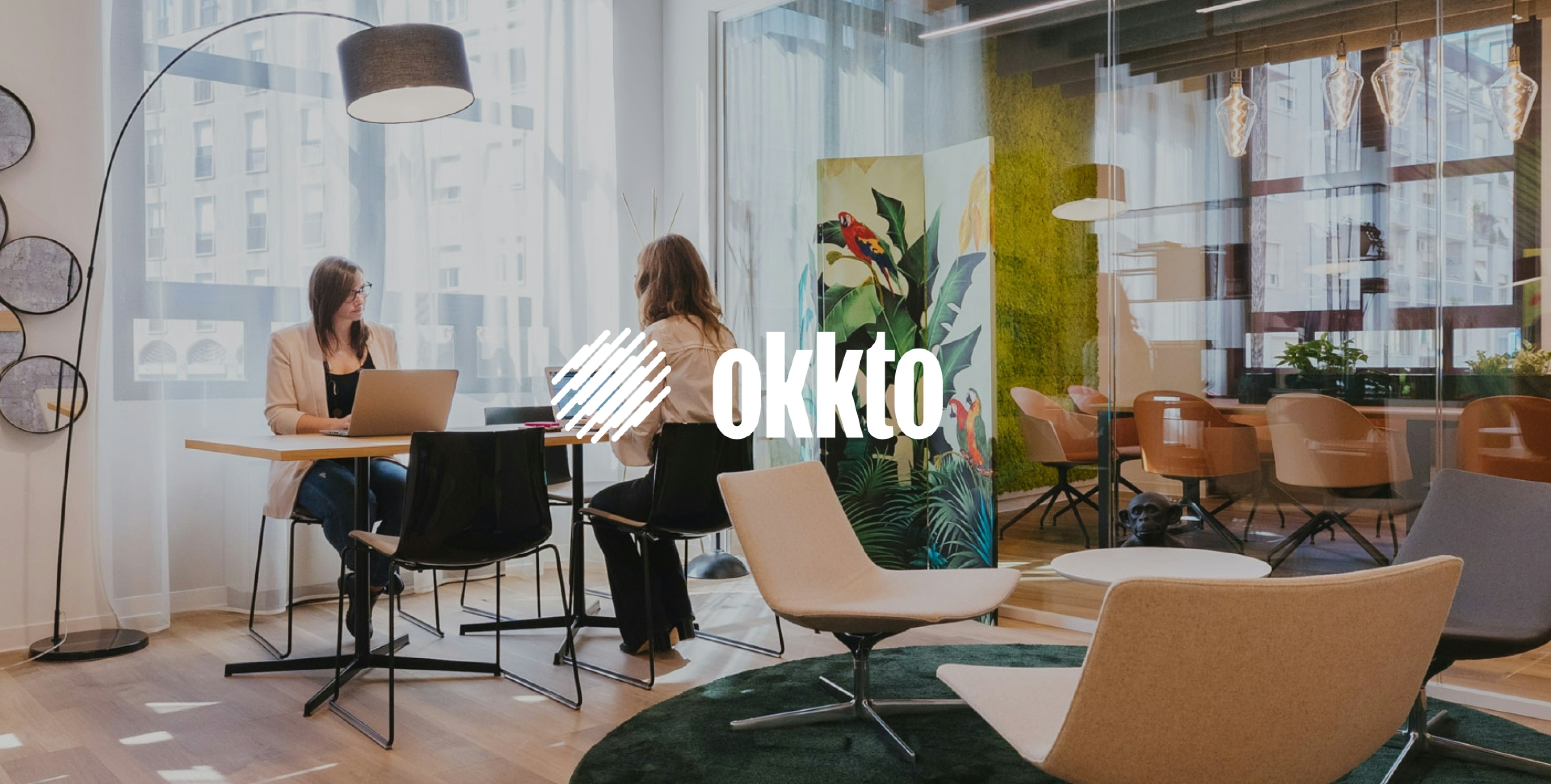 Canderel launches Okkto case study — Canderel