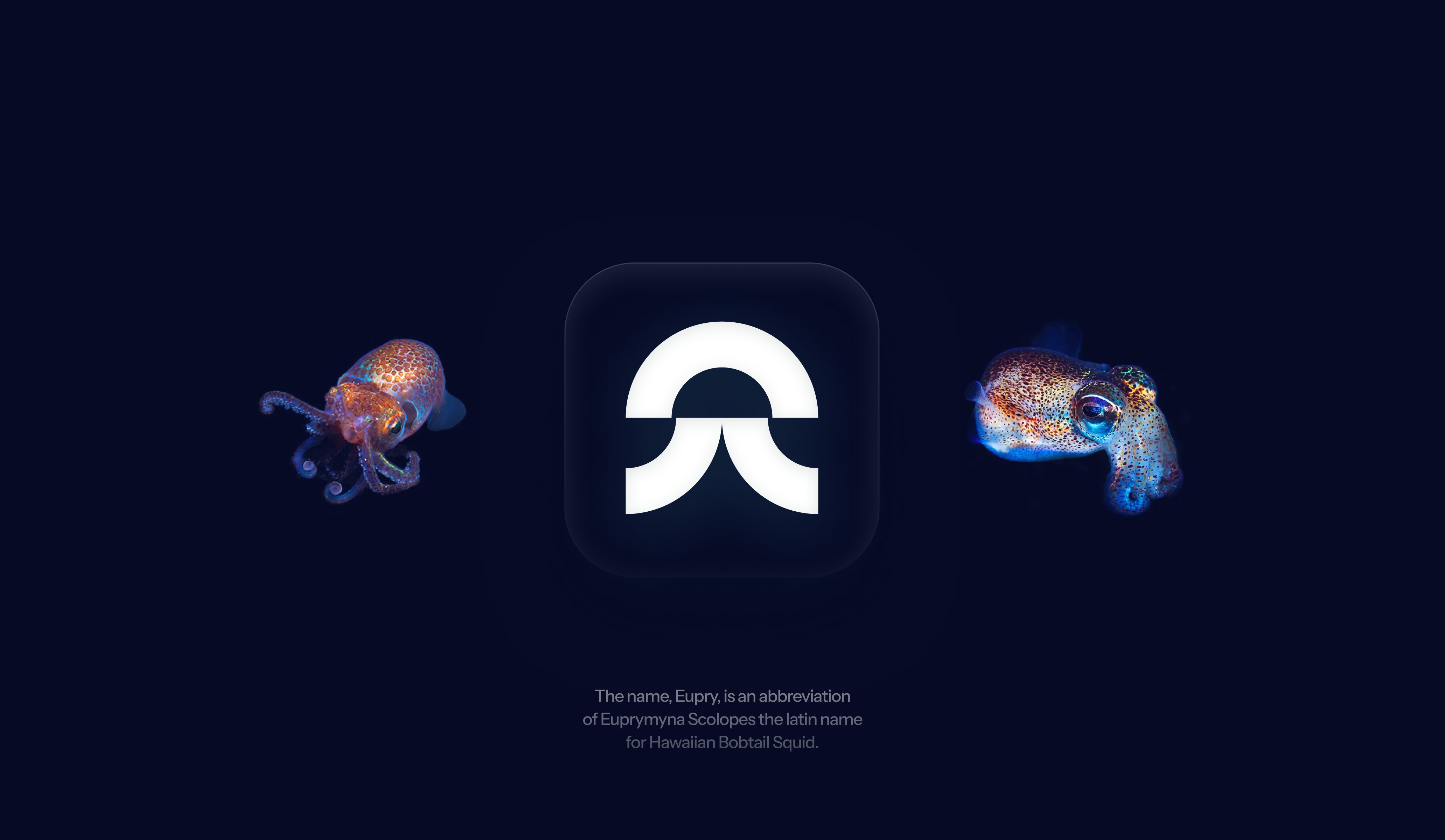 Eupry case study — Signifly