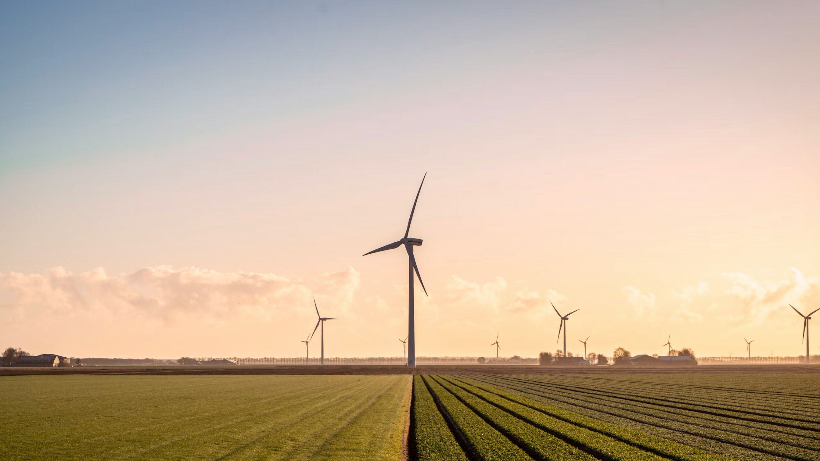 Windspace case study — Signifly