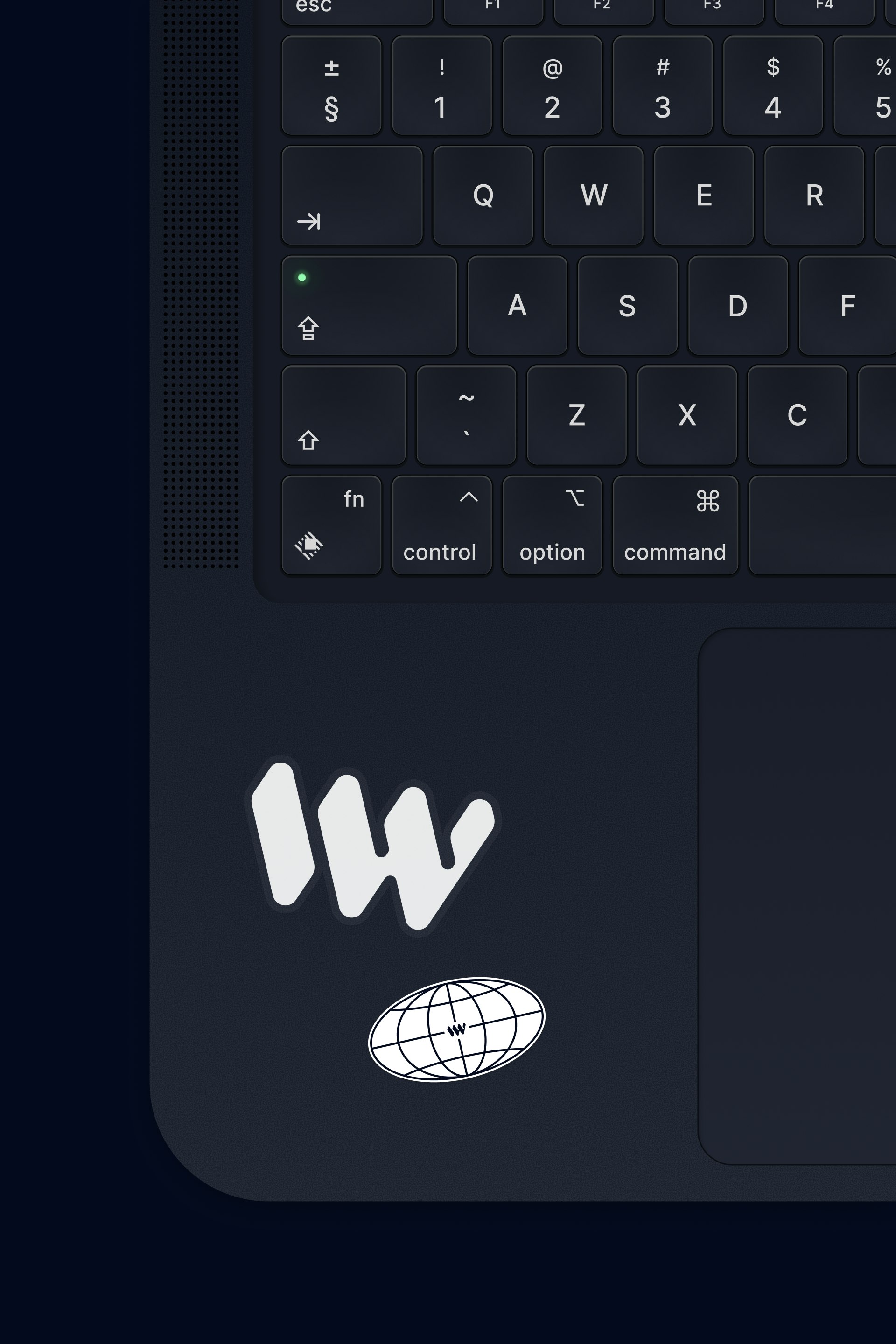 Languagewire case study — Signifly