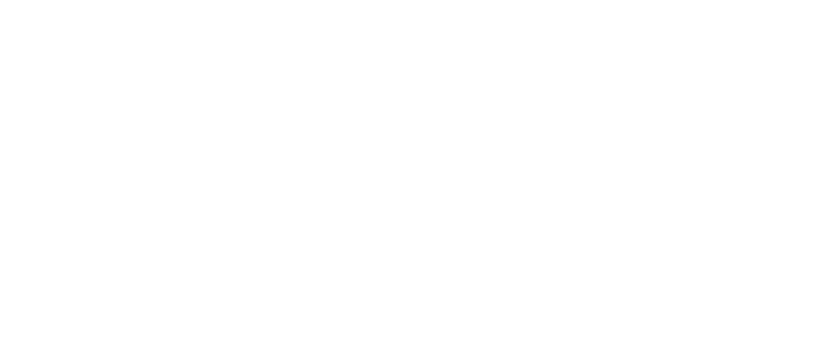 The Library of Parliament