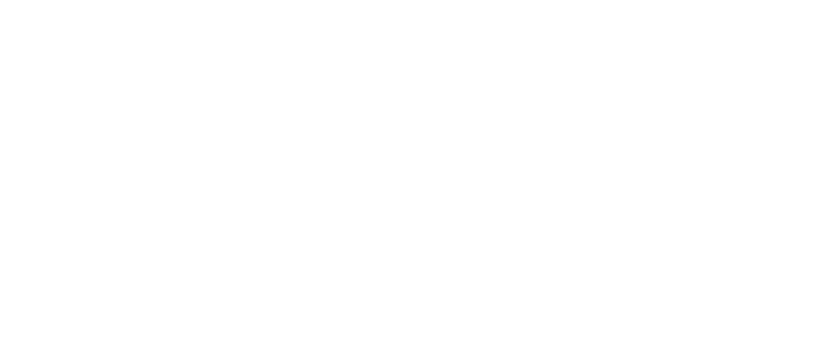 New Nordic