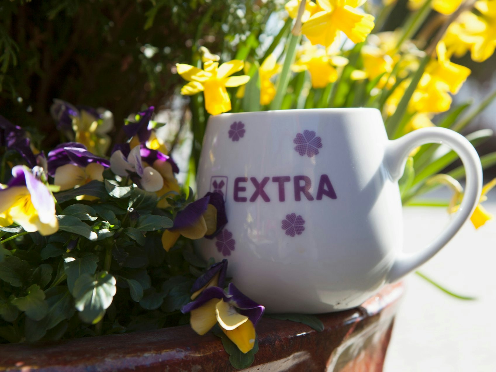 En kopp med lilla Extra-logo plassert på en blomsterpotte med gule og lilla blomster.