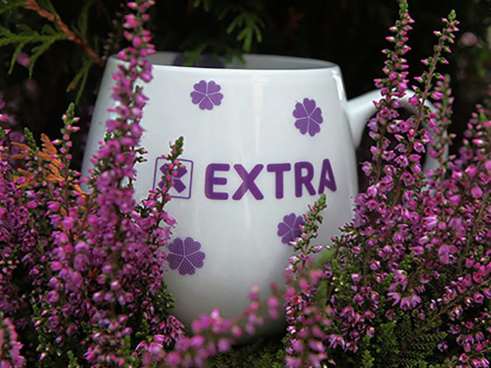 Extra kandidaten Vant Over 600 000 Kroner Norsk Tipping extra-kandidaten-vant-over-600-000-kroner-norsk-tipping