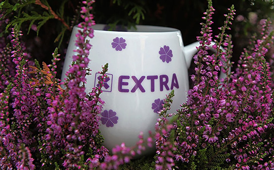 Extra, kopp, lyng, høst