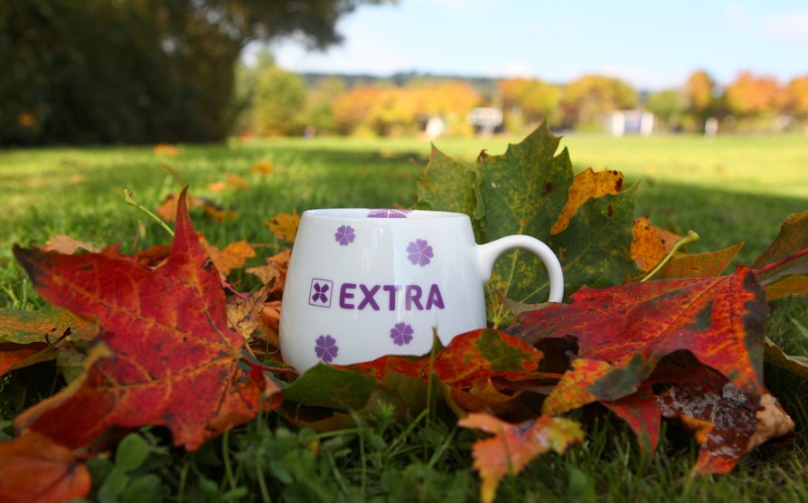 Extra, kopp, høst, løv
