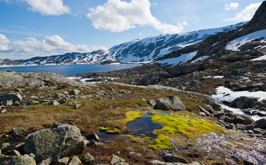 Jotunheimen, Drømmetanken-bilde,  natur