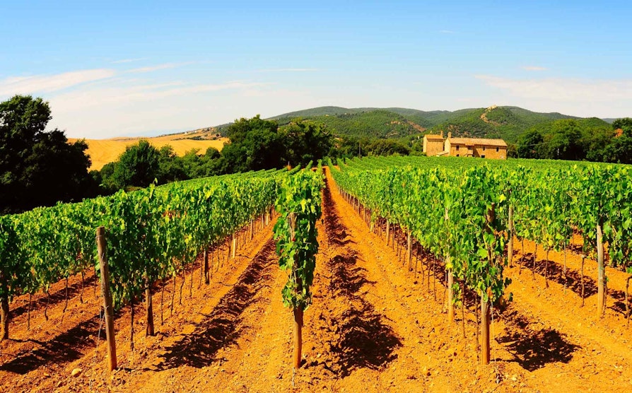 uke17_toscana