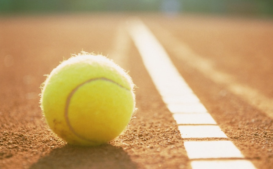 Tennis. Grus. Illustrasjon.