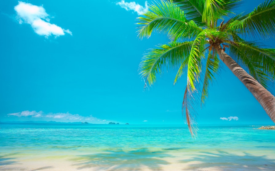vinneroyeblikk_paradis_COLOURBOX9337742