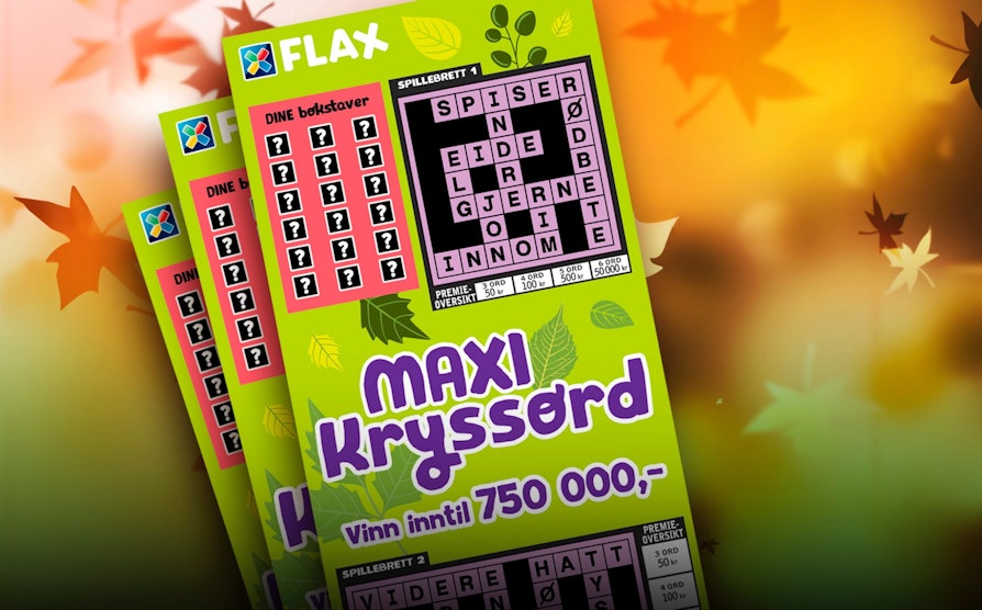 FLAX_3516_maxikryss