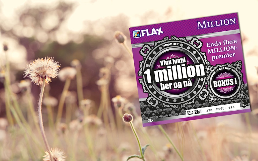 Flaxbilde lilla MillionFlax
