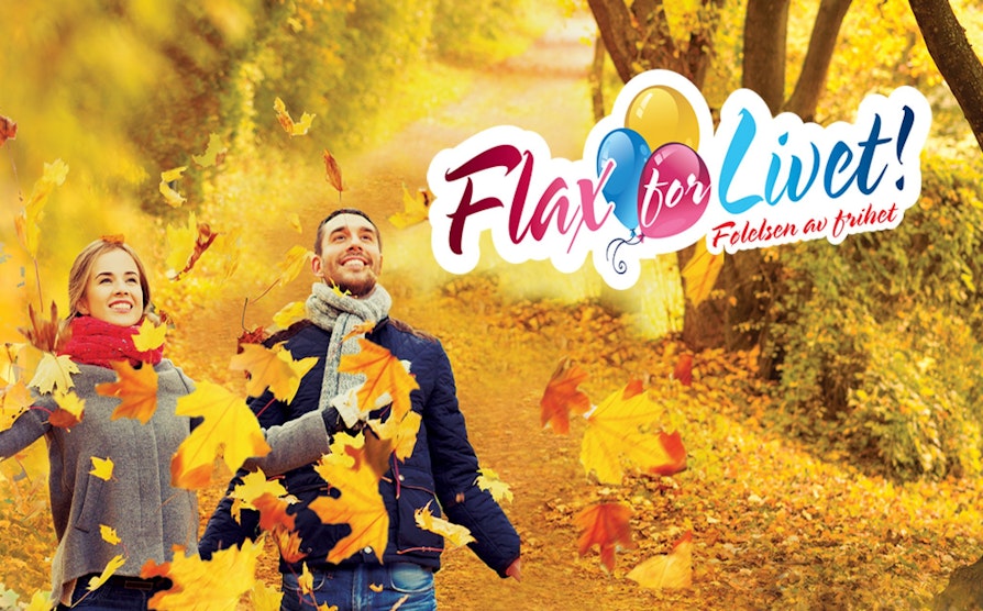 FLAX_3716_FFL4_1000x622_