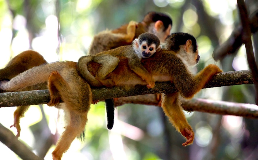 EURO_4316_2000x1244_EJreisen_CostaRica