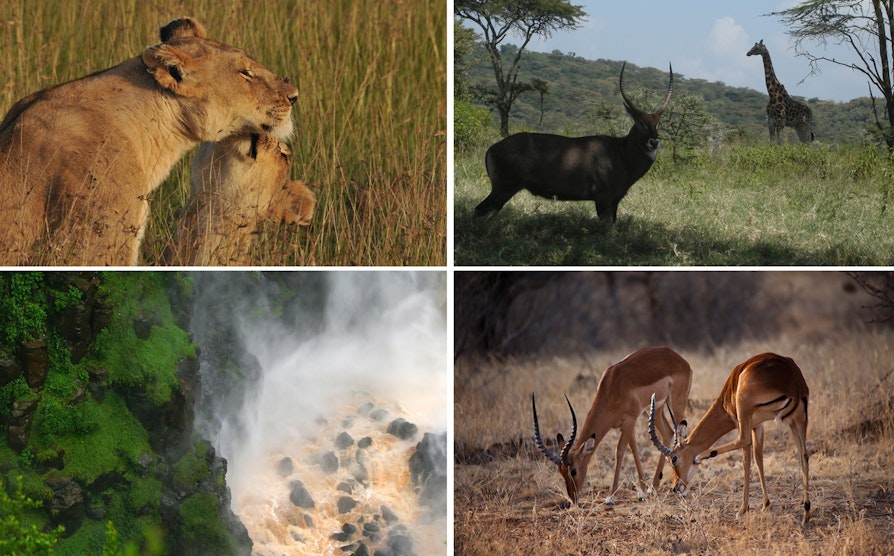 Kenya