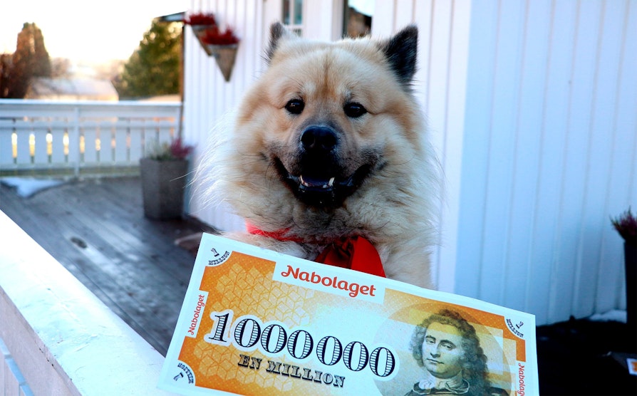 Teddy, hunden til Ane Holmlund
Nabolaget