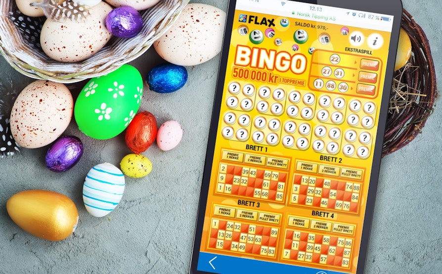 FLAX_1517_2000x1244_BingoFLAX