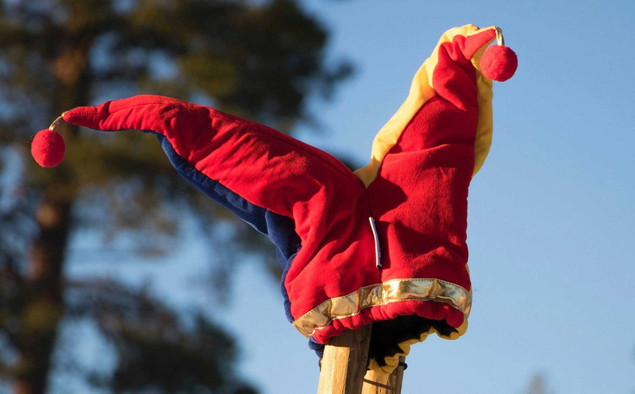 Joker-hatt tredd på en trestolpe med blp himmel og furutre i bakgrunnen.