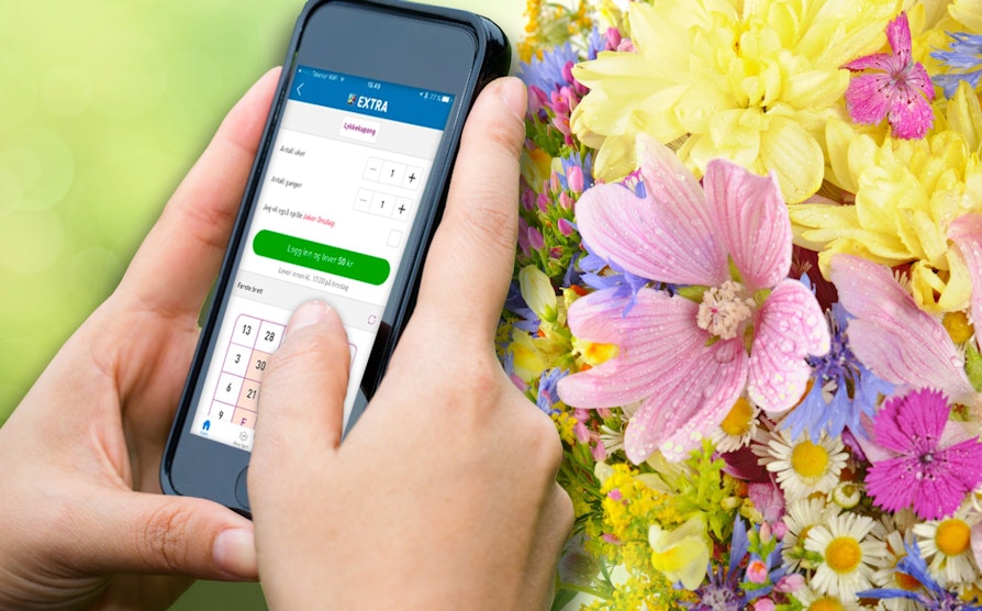 Extra, illustrasjon, sommer, blomster, mobil, spill på mobil, spre glede