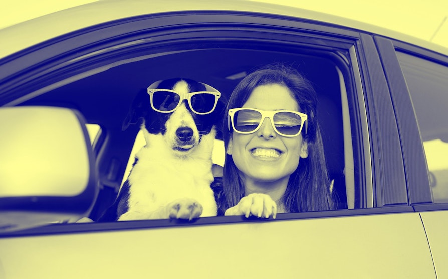 woman_and_dog_Dark-Blue+Yellow_RGB2000x1244