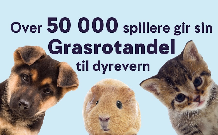 GRASROT_3519_2000x1244_dyrevern