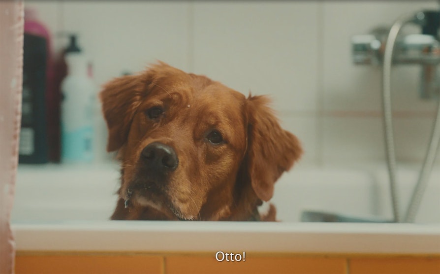 otto__2000