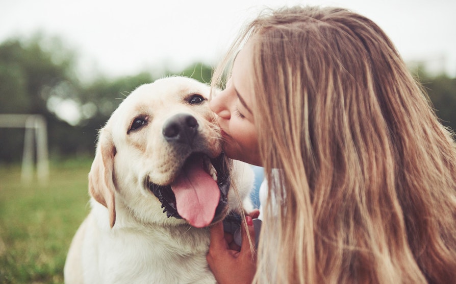 AdobeStock_237757797