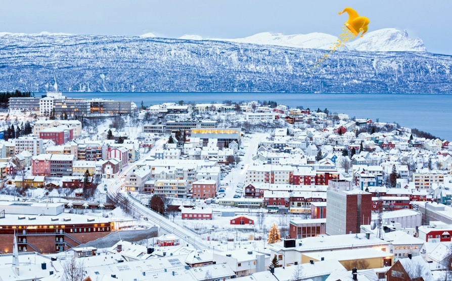 Narvik-joker