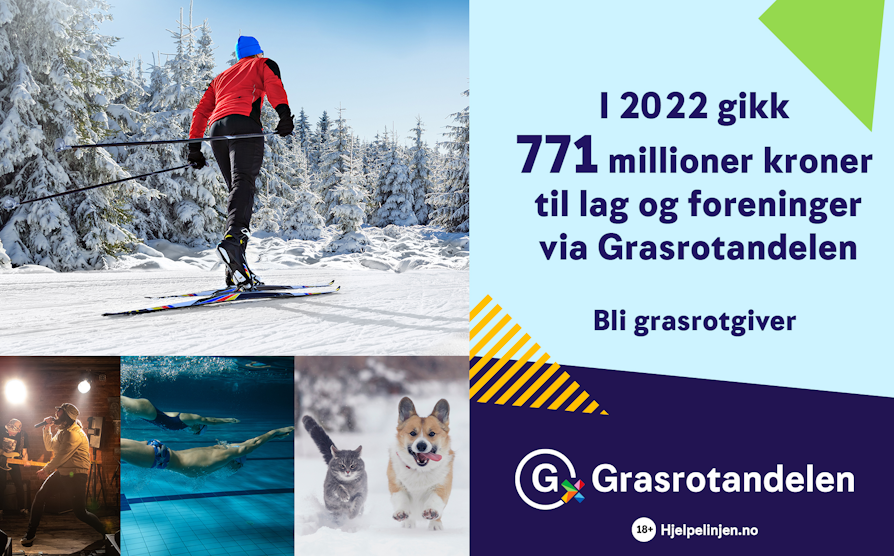 Bildemontasje: mann på ski, framføring i lavmælt lokale, svømmere under vann, og grå katt og corgi som løper mot kamera gjennom snø