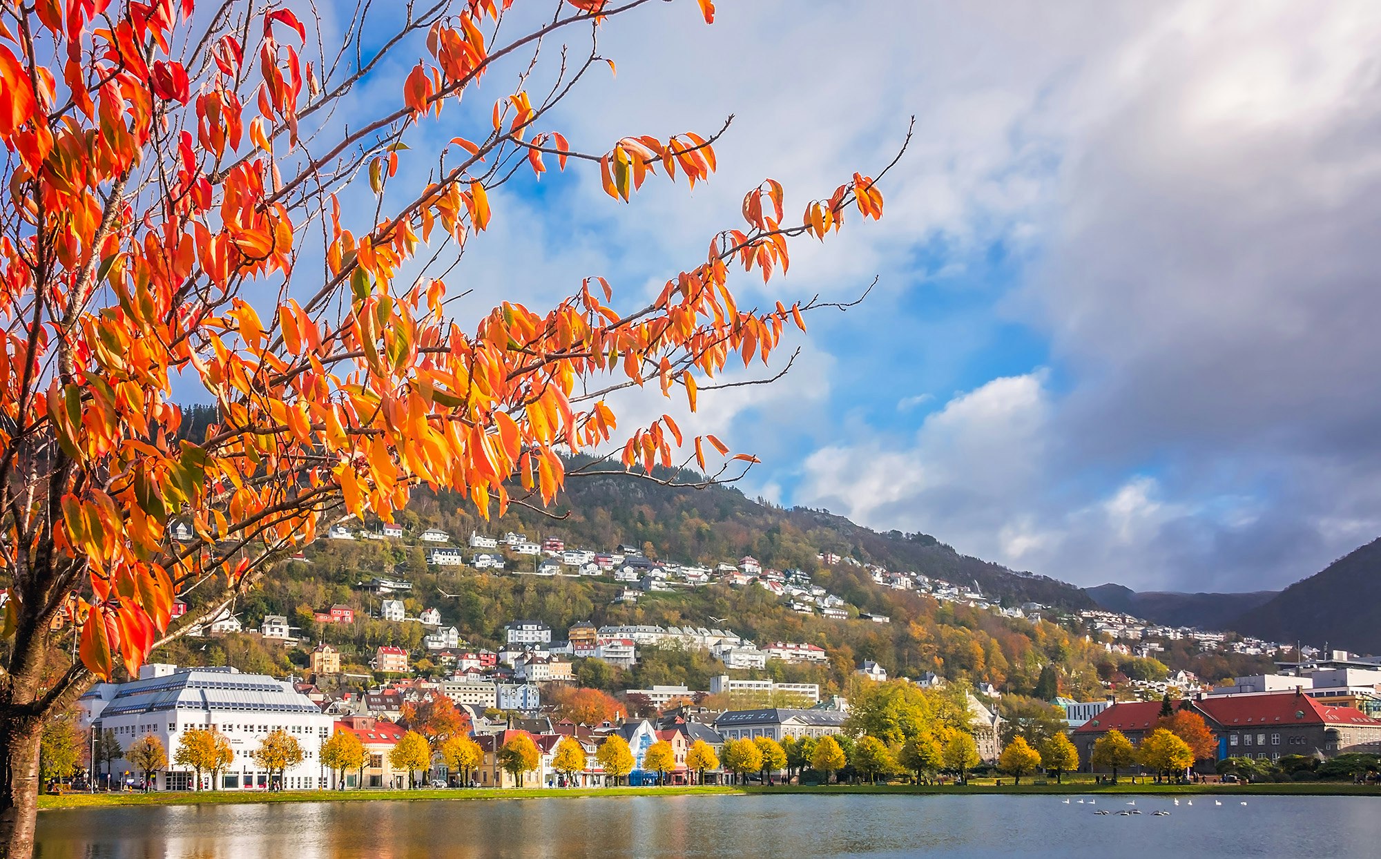 Oversiktsbilde av Bergen
