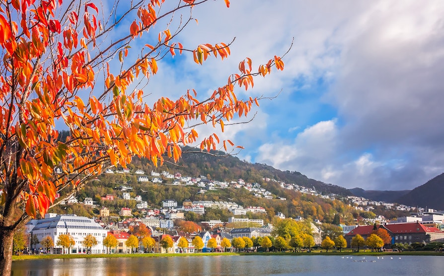 Oversiktsbilde av Bergen